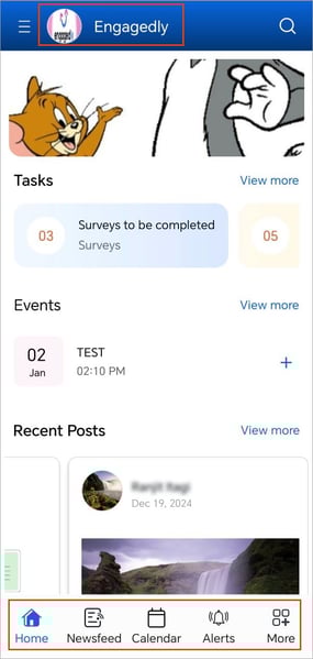 Overview of the homepage1